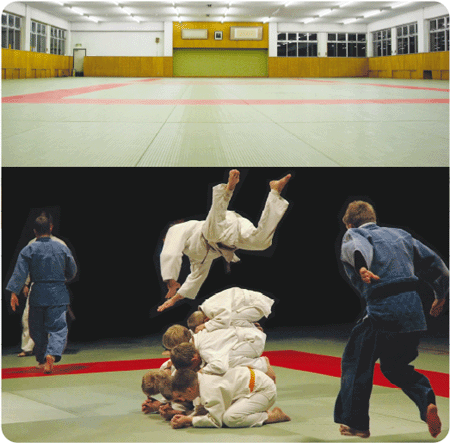 Thảm Taekwondo thi đấu