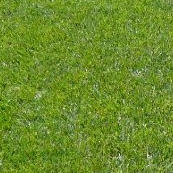 Sân bóng đá cỏ nhân tạo - cỏ nhân tạo